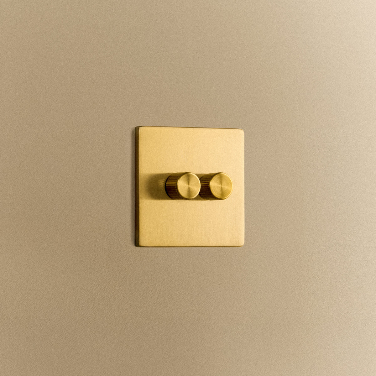 Double Rotary Wall Dimmer in Brass