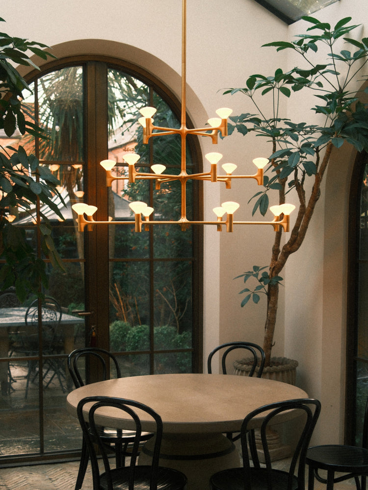 Root Chandelier above dining table